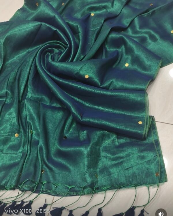 Premium Raga Tissue Gini Work Saree With Blouse piece